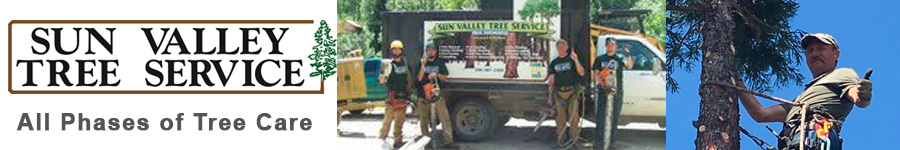 Sun Valley Tree Service